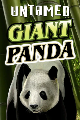 Untamed - Giant Panda Играть бесплатно в слот | Вулкан Победа