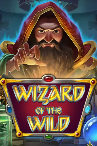 Wizard of the Wild Играть бесплатно в слот | Вулкан Победа